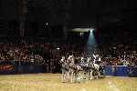 Extreme - 00937